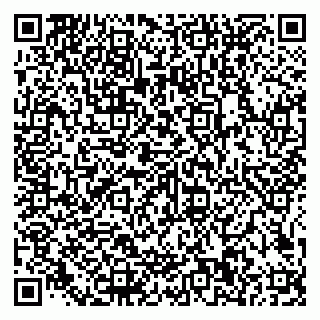 vCard 79585100294