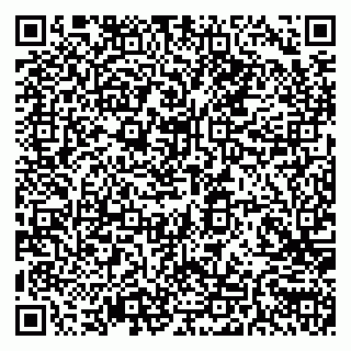 vCard 79585100295