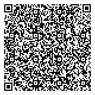 vCard 79585100296