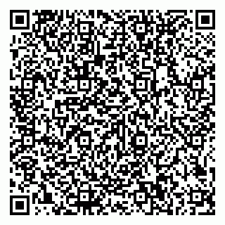 vCard 79585100297