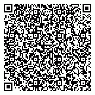vCard 79585100298