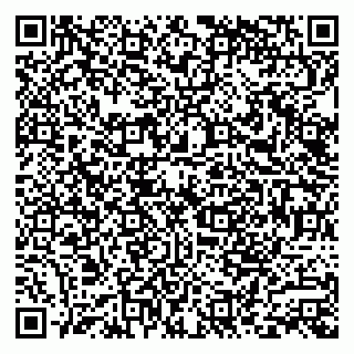 vCard 79585100299