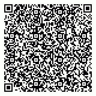 vCard 79585100300