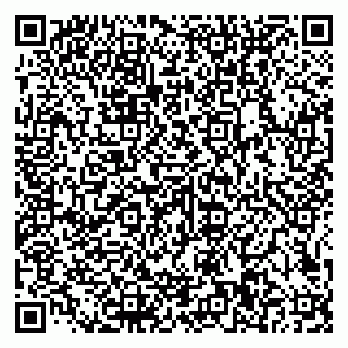 vCard 79585100301