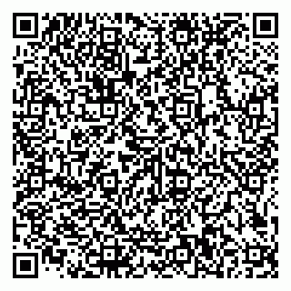 vCard 79585100303