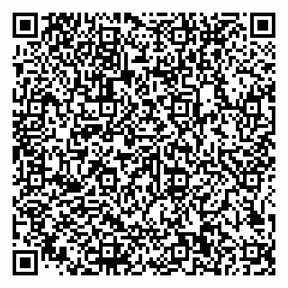 vCard 79585100304