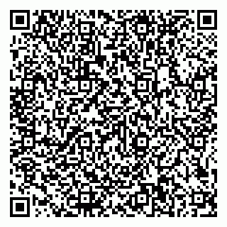 vCard 79585100305