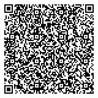 vCard 79585100306