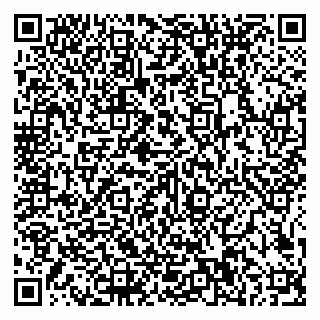 vCard 79585100307