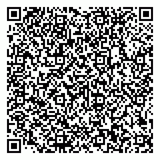 vCard 79585100310