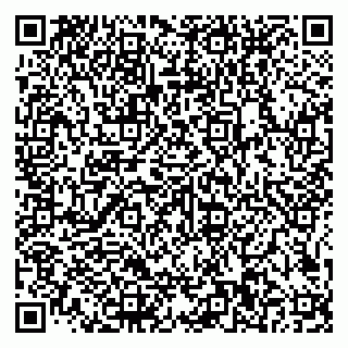 vCard 79585100311