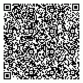 vCard 79585100313