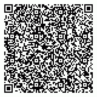 vCard 79585100315