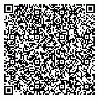 vCard 79585100318