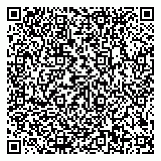 vCard 79585100319