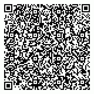 vCard 79585100321