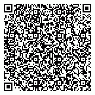 vCard 79585100322