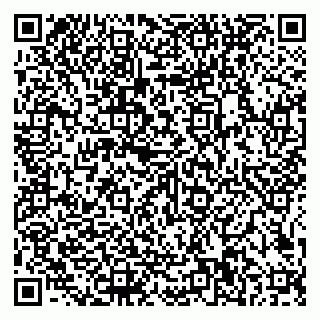 vCard 79585100325