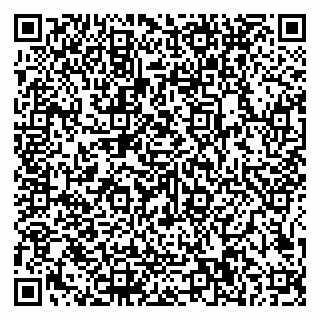 vCard 79585100327