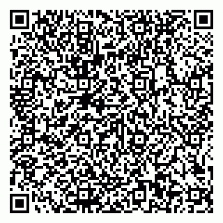 vCard 79585100328