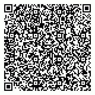 vCard 79585100330