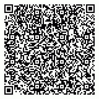 vCard 79585100332