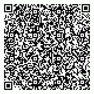 vCard 79585100333