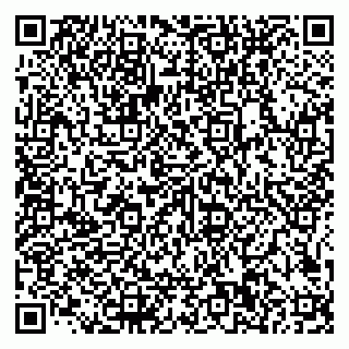 vCard 79585100334
