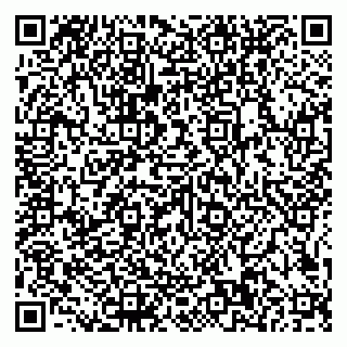 vCard 79585100336
