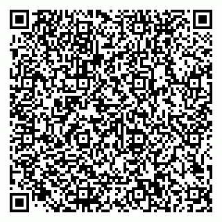 vCard 79585100337