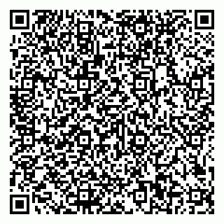 vCard 79585100339