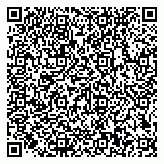 vCard 79585100340