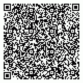 vCard 79585100345