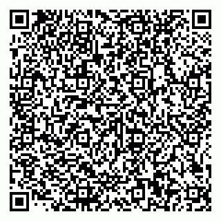 vCard 79585100348
