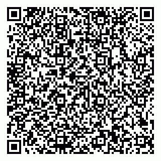 vCard 79585100351