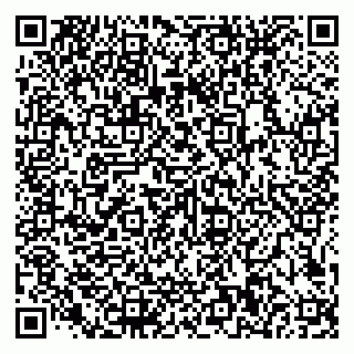 vCard 79585100352