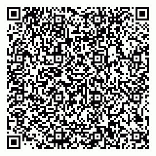 vCard 79585100353