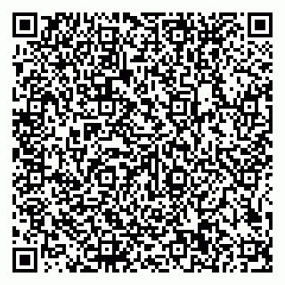 vCard 79585100354
