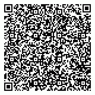 vCard 79585100356