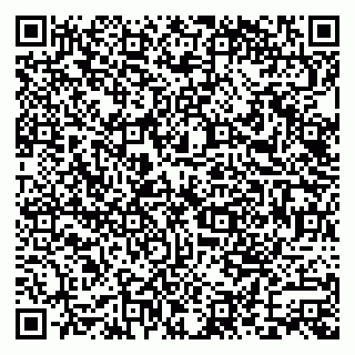 vCard 79585100357