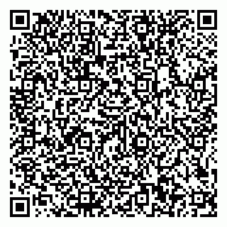 vCard 79585100358