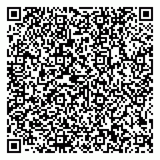 vCard 79585100360