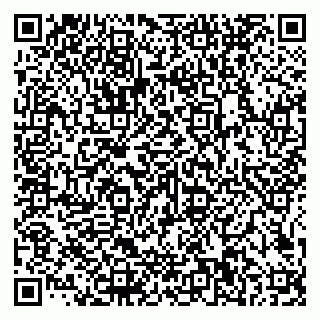 vCard 79585100365