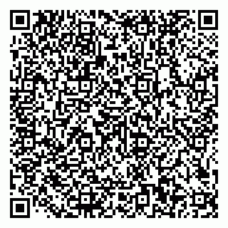 vCard 79585100368