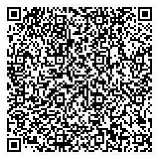vCard 79585100369