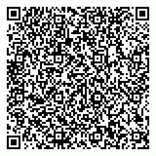 vCard 79585100370