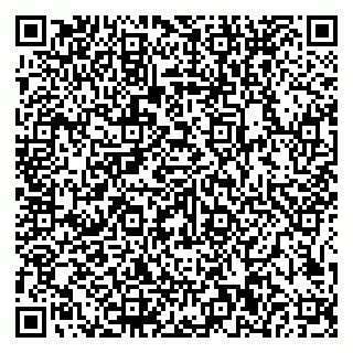 vCard 79585100372
