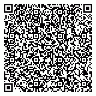 vCard 79585100373