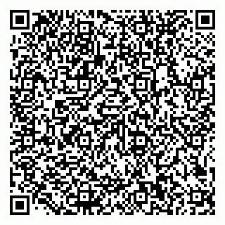 vCard 79585100374