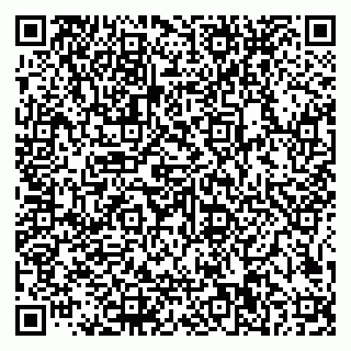 vCard 79585100375